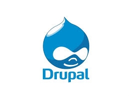website development in pune